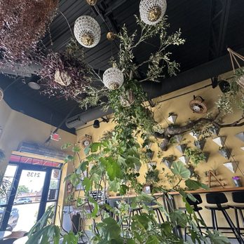 Roots juice and coffee bar - Coffee & Tea Near Me - Sterling Heights, Michigan Roots juice and coffee bar - Coffee & Tea Near Me - Sterling Heights, Michigan