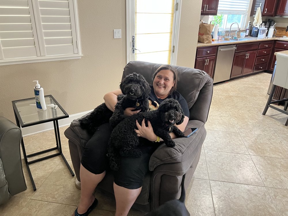 BENICIA DOG DAYCARE AND BOARDING Updated June 2024 Benicia