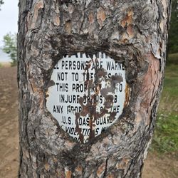 Marquette Harbor Light - Signs the trees swallowed