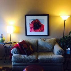 Renee Miller, LMFT