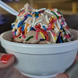Bo's Ice Cream - Small Chocolate soft serve with rainbow sprinkles. Tasty!