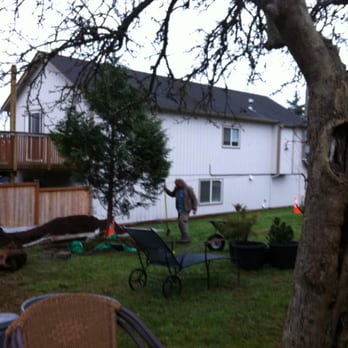 Michael Oxman, Professional Tree Surgeon - Transplanting 15' tall Westen Red Cedar - Tree Services Near Me - Burien, Washington