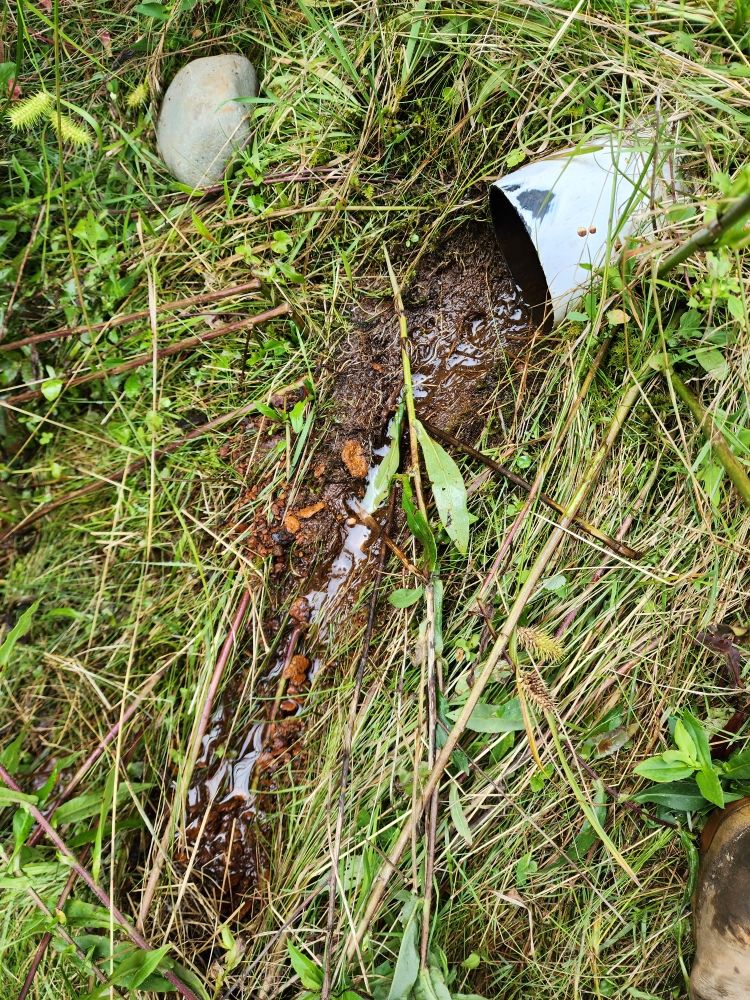 Slide of Pipe Dreams Sewer & Drain