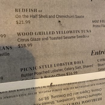 Pier 6 - Dead gnats on menu that we had to kill. This was after we killed over 10 gnats. - Seafood Near Me - San Leon, Texas