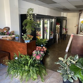 The Coffee Method - Plants and flowers - Coffee & Tea Near Me - San Diego, California