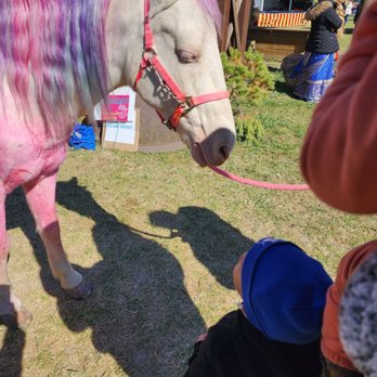 Lark Ranch - Pictures  with the Unicorn - Ranches Near Me - Greenfield, Indiana