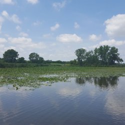Blue Heron Boat Tours & Canoe Rental - Horicon Marsh part II