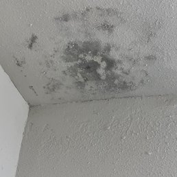 Leaks, black mold and ac unit switched on 67 degrees at night and it's 79 in the apartment! Leaks, black mold and ac unit switched on 67 degrees at night and it's 79 in the apartment!