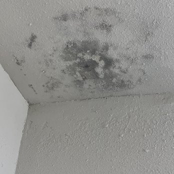 The Helix Apartments - Leaks, black mold and ac unit switched on 67 degrees at night and it's 79 in the apartment! - Apartments Near Me - San Antonio, Texas The Helix Apartments - Leaks, black mold and ac unit switched on 67 degrees at night and it's 79 in the apartment! - Apartments Near Me - San Antonio, Texas
