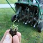 KC Landscaping