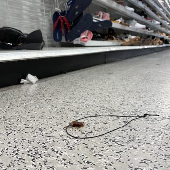 Ross Dress for Less - Dead roach at ross - Department Stores Near Me - Signal Hill, California Ross Dress for Less - Dead roach at ross - Department Stores Near Me - Signal Hill, California