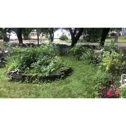 Chamber's Guest House Bed and Breakfast - Beautiful lush grounds!