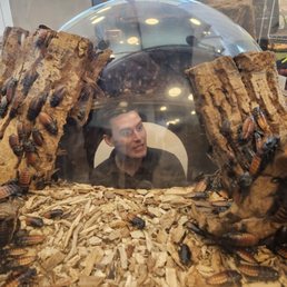 Roach Dome