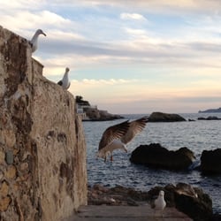 Cabanon des Auffes - A 500 m de la maison