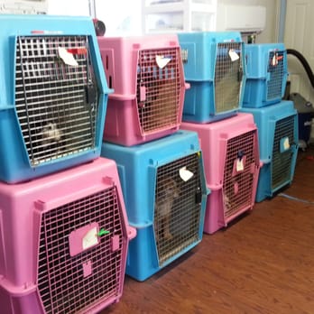 Clippendales - Pet Groomers Near Me - Rockledge, Florida