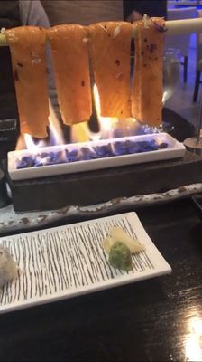 Purple Shell Boston by null