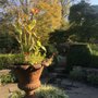 Photo of Goodbody Garden
