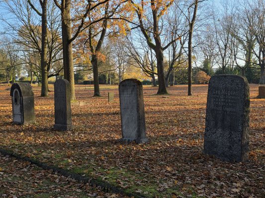 Friedrichsfelde Central Cemetery by null