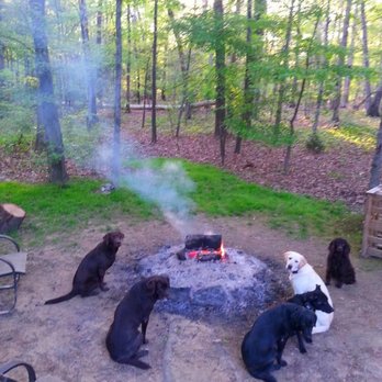 AU Dog Training - Pet Training Near Me AU Dog Training - Pet Training Near Me