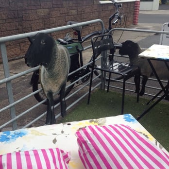Winnie's Craft Cafe - Coffee and my purchases while out on patio - Cafes Near Me - Booterstown, D Winnie's Craft Cafe - Coffee and my purchases while out on patio - Cafes Near Me - Booterstown, D