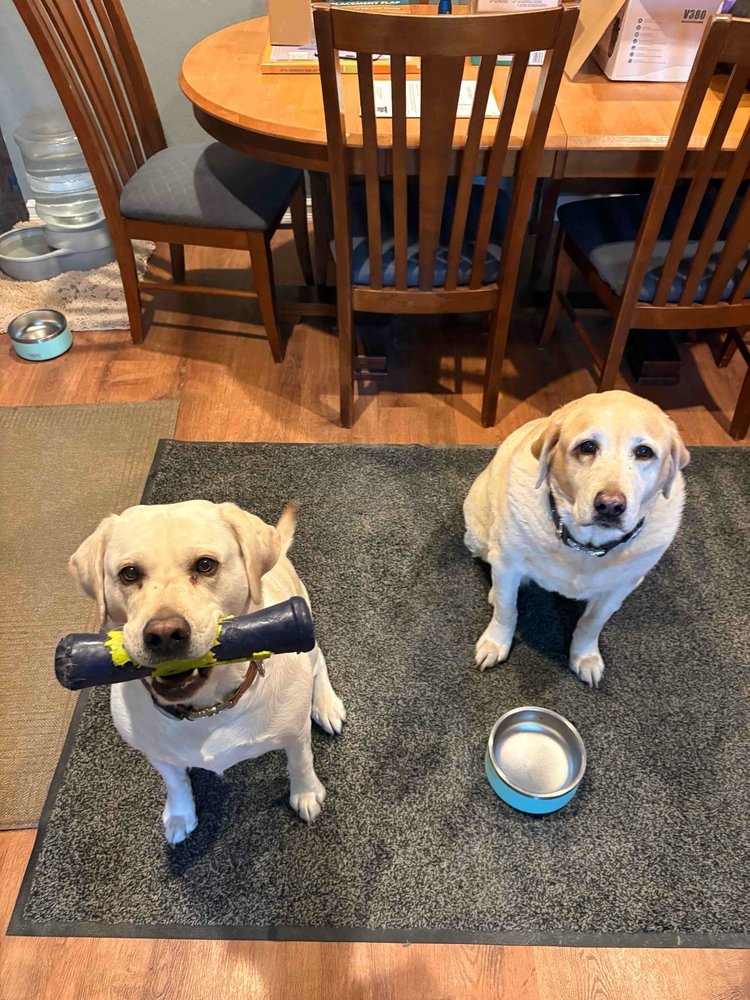 Peregrin Pet Care - pet boarding facility in San Jose, CA