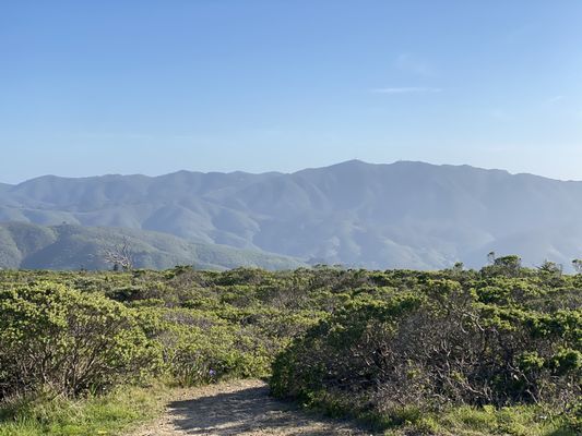 Sweeney Ridge SWEENEY RIDGE - Updated March 2025 - 870 Photos & 190 Reviews - 3660 ...