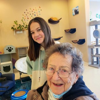 Catopia Cat Cafe - Pet Adoption Near Me - Albuquerque, New Mexico