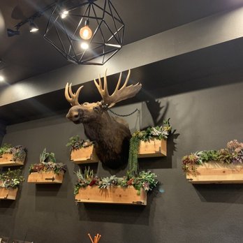 La Finca Bruncheria & Cafe - Decor - Mexican Near Me - Laredo, Texas La Finca Bruncheria & Cafe - Decor - Mexican Near Me - Laredo, Texas