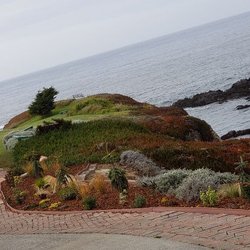 Barrera's Ocean Front Lawn Care & Landscaping