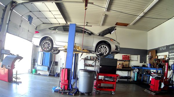 Our Shop - Stop by today! Our Shop - Stop by today!