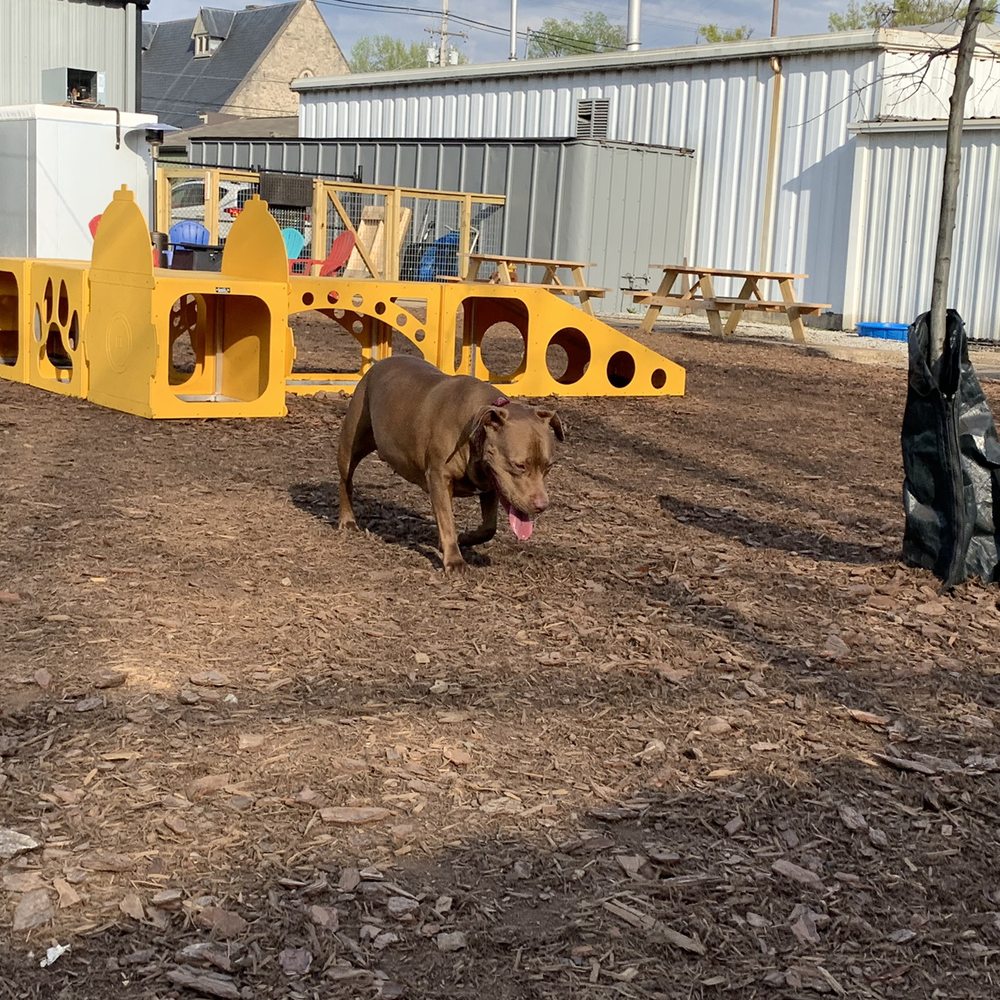 THE BEST 10 Dog Parks near Corydon, IN 47112 Last Updated September