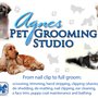 Photo of Agnes Pet Grooming Studio
