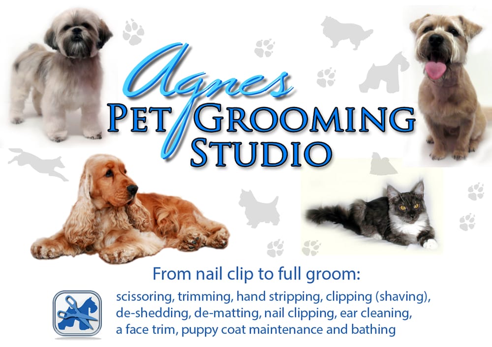 AGNES PET GROOMING STUDIO 17 Photos 13 Devonshire Place, Harrogate, West Yorkshire, United