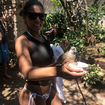 Discovery Cove - More bird feeding - Amusement Parks Near Me - Orlando, Florida