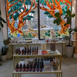 Botanically Curious