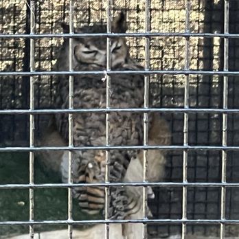 CALM Zoo - Zoos Near Me - Bakersfield, California