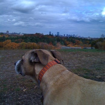 Arnold Arboretum - View atop Peters Hill - Parks Near Me - Boston, Massachusetts Arnold Arboretum - View atop Peters Hill - Parks Near Me - Boston, Massachusetts