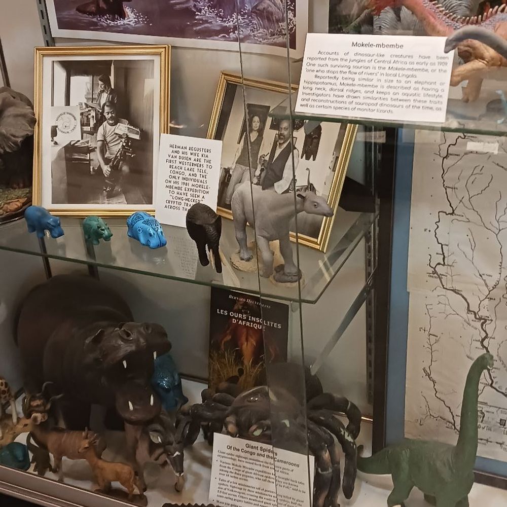 International Cryptozoology Museum - Museums Near Me - Bangor, Maine International Cryptozoology Museum - Museums Near Me - Bangor, Maine