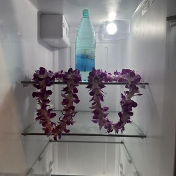 Apolo Services - Service with Aloha  every guest deserves to feel welcomed into your home with the true aloha spirit making them feel right at home! - Home Cleaning Near Me