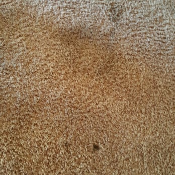 Big Bear Vacations - Dirty carpet - Vacation Rentals Near Me - Big Bear Lake, California