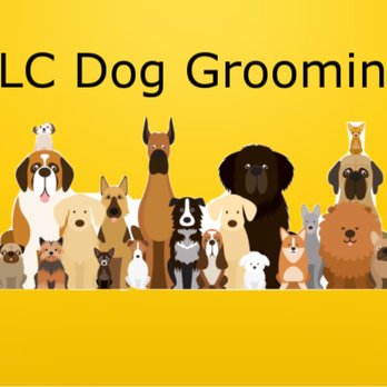 Tlc Dog Grooming Service - Pet Services Near Me - Morgantown, West Virginia Tlc Dog Grooming Service - Pet Services Near Me - Morgantown, West Virginia