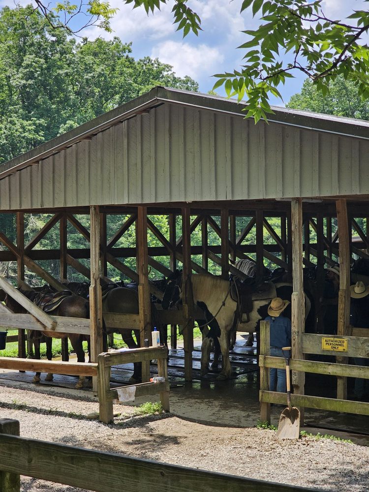 Cades Cove Riding Stables - equestrian in Townsend, TN