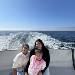 Legacy Whale Watch - Awesome view