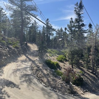 Action Tours - Tours Near Me - Big Bear Lake, California Action Tours - Tours Near Me - Big Bear Lake, California