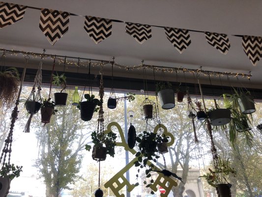 Lovelocks Coffee Shop by null