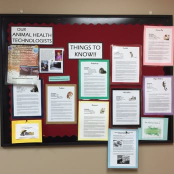 Park Veterinary Centre - Good things to know - Veterinarians Near Me - Sherwood Park, Alberta Park Veterinary Centre - Good things to know - Veterinarians Near Me - Sherwood Park, Alberta