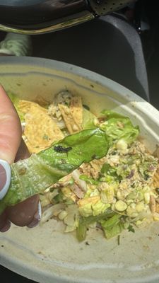 Chipotle Mexican Grill by null