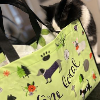 All The Best Pet Care - Madison - Earth day tote & goodies for the ! - Pet Stores Near Me - Seattle, Washington All The Best Pet Care - Madison - Earth day tote & goodies for the ! - Pet Stores Near Me - Seattle, Washington