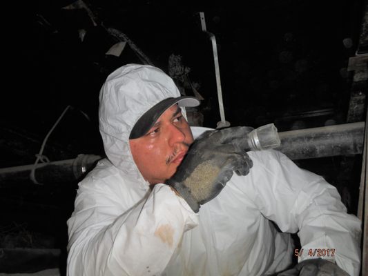 Photo of Dominguez Property Inspections - Coachella, CA, US. Crawlspace Inspection Under A Manufactured Home