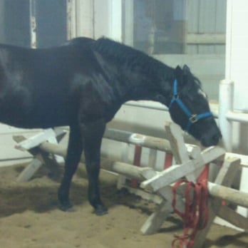 Lincoln Equestrian Center - Horseback Riding Near Me - Lincoln, Nebraska Lincoln Equestrian Center - Horseback Riding Near Me - Lincoln, Nebraska